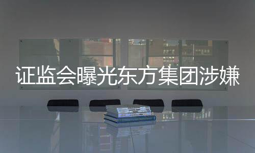 證監(jiān)會(huì)曝光東方集團(tuán)涉嫌重大財(cái)務(wù)造假案件揭秘