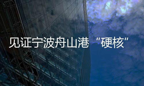 見證寧波舟山港“硬核”科技：坐辦公室就能裝卸集裝箱
