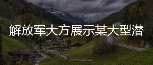 解放軍大方展示某大型潛艇，揭示軍事力量之奧秘的深水幽靈重磅亮相！新世代海洋守護(hù)者驚艷亮相