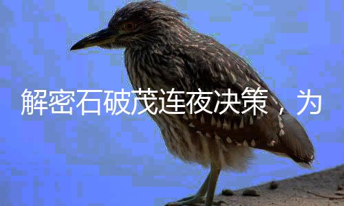 解密石破茂連夜決策，為何選擇連夜與王毅會(huì)面？
