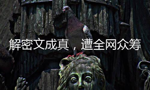 解密文成真，遭全網(wǎng)眾籌百億懸賞
