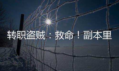 轉(zhuǎn)職盜賊：救命！副本里有臟東西