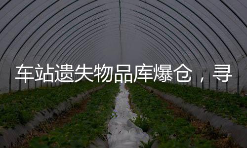 車站遺失物品庫爆倉，尋回物品流程再造挑戰(zhàn)巨大