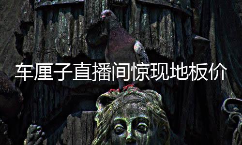 車厘子直播間驚現(xiàn)地板價——探秘最新鮮的水果交易潮流