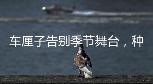 車?yán)遄痈鎰e季節(jié)舞臺，種植銷售鏈全景揭秘及未來發(fā)展展望