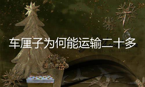 車厘子為何能運輸二十多天都不壞？解密保鮮技術(shù)的奇跡