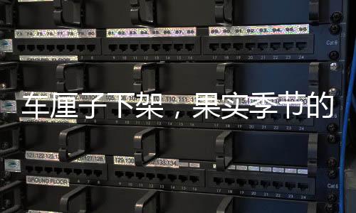 車?yán)遄酉录?，果?shí)季節(jié)的告別