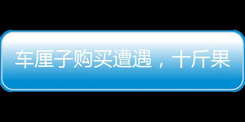 車?yán)遄淤徺I遭遇，十斤果實(shí)三斤壞果，消費(fèi)者需謹(jǐn)慎