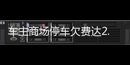 車主商場(chǎng)停車欠費(fèi)達(dá)2.4萬(wàn)，事件回顧與各方反應(yīng)