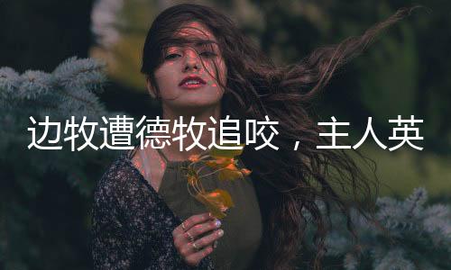 邊牧遭德牧追咬，主人英勇保護——一次驚心動魄的寵物安全事件