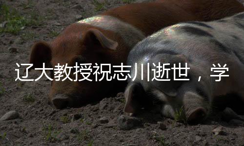 遼大教授祝志川逝世，學(xué)術(shù)界的巨大損失