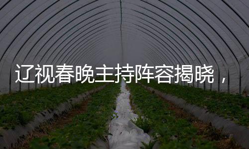 遼視春晚主持陣容揭曉，杜海濤、劉濤與于洋攜手共舞新春盛宴
