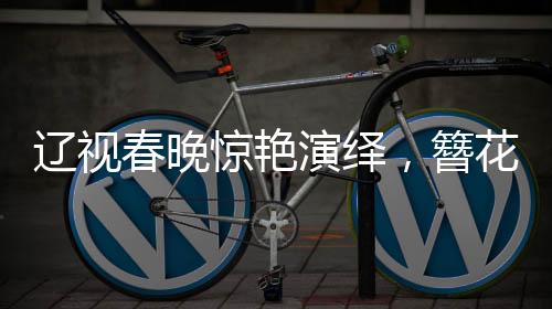 遼視春晚驚艷演繹，簪花仕女圖活化傳承，再現(xiàn)古典魅力
