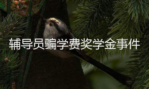 輔導(dǎo)員騙學(xué)費(fèi)獎(jiǎng)學(xué)金事件曝光，揭開背后的真相與反思