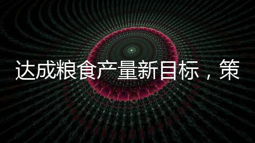 達成糧食產(chǎn)量新目標，策略與路徑