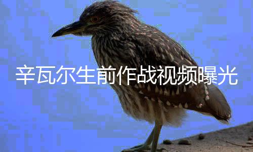 辛瓦爾生前作戰(zhàn)視頻曝光，揭秘英勇傳奇的一生