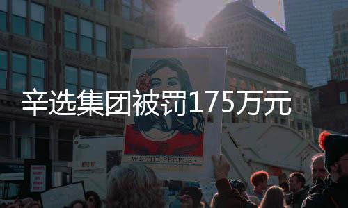 辛選集團被罰175萬元，揭示違規(guī)事實及行業(yè)反思