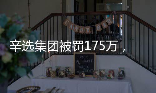 辛選集團被罰175萬，違規(guī)操作引發(fā)關(guān)注
