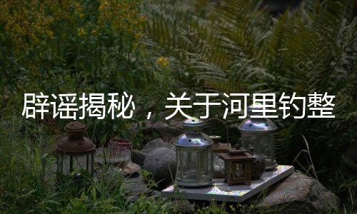 辟謠揭秘，關于河里釣整箱現(xiàn)金的真實揭秘