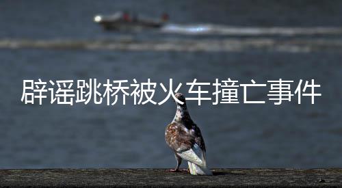 辟謠跳橋被火車撞亡事件的真相揭示