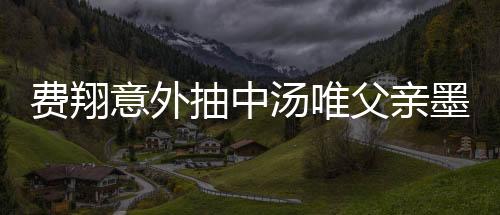 費(fèi)翔意外抽中湯唯父親墨寶，揭示深厚文化緣分