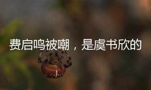 費(fèi)啟鳴被嘲，是虞書欣的嫁妝嗎？