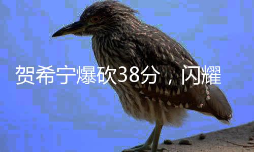 賀希寧爆砍38分，閃耀全場——一記輝煌的籃球巨星表現(xiàn)