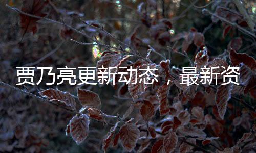 賈乃亮更新動態(tài)，最新資訊與深度解讀