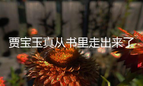 賈寶玉真從書里走出來了，穿越現(xiàn)實的神話魅力揭秘