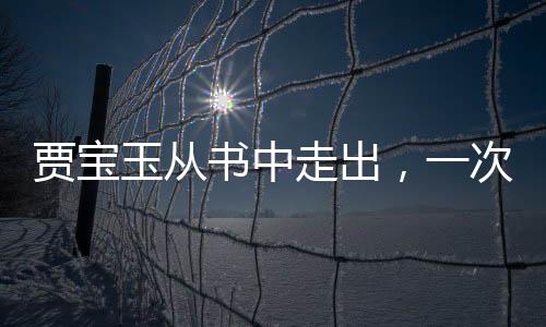 賈寶玉從書(shū)中走出，一次跨越時(shí)空的奇遇