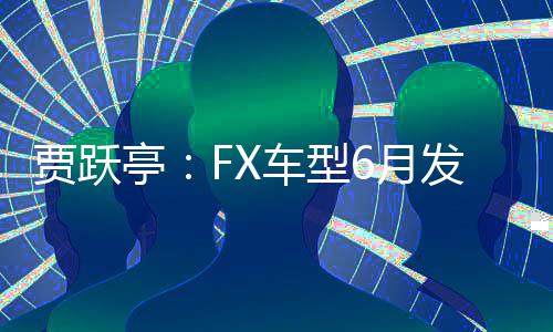 賈躍亭：FX車型6月發(fā)布首款產(chǎn)品 年內(nèi)首車下線并產(chǎn)生收入