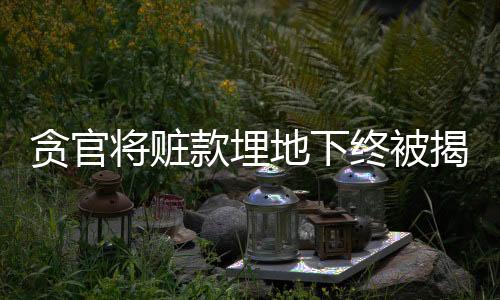 貪官將贓款埋地下終被揭露，揭示腐敗背后的隱秘手段
