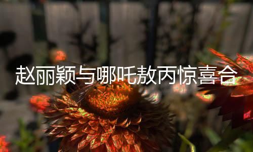 趙麗穎與哪吒敖丙驚喜合影，跨界合作掀起熱議
