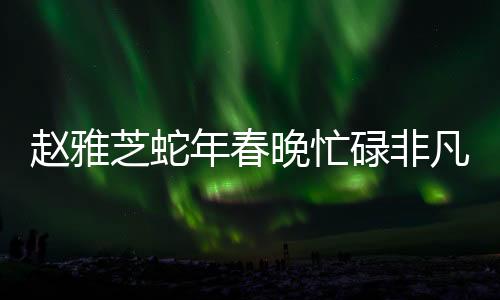趙雅芝蛇年春晚忙碌非凡，亮相多臺晚會成焦點