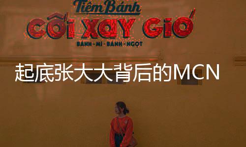 起底張大大背后的MCN公司，深度解析網(wǎng)紅背后的推手力量