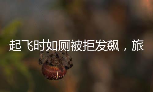 起飛時如廁被拒發(fā)飆，旅客情緒失控事件引發(fā)關(guān)注