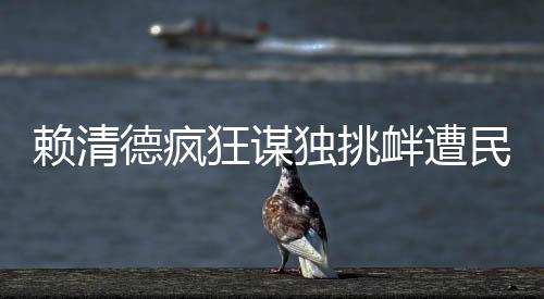 賴清德瘋狂謀獨挑釁遭民眾怒斥