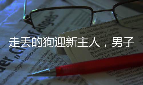 走丟的狗迎新主人，男子溫情相遇牽走失犬