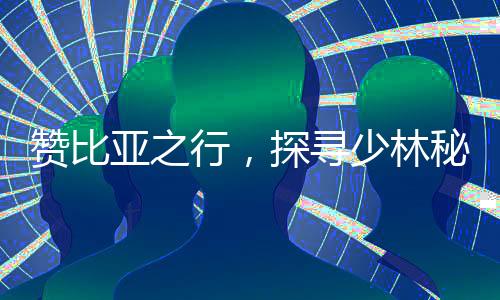 贊比亞之行，探尋少林秘境的獨(dú)特體驗(yàn)
