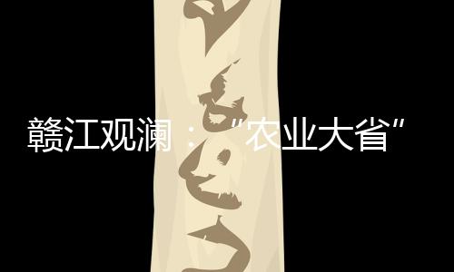 贛江觀瀾：“農(nóng)業(yè)大省”江西如何書寫農(nóng)業(yè)農(nóng)村發(fā)展新篇章？