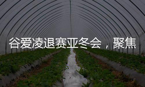 谷愛凌退賽亞冬會，聚焦背后原因及展望