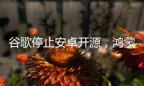 谷歌停止安卓開源，鴻蒙系統(tǒng)的機(jī)遇與挑戰(zhàn)