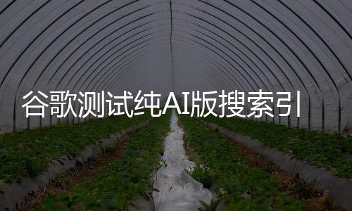 谷歌測試純AI版搜索引擎 取消傳統(tǒng)展示形式
