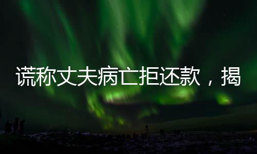 謊稱丈夫病亡拒還款，揭示背后的真相與法律探討