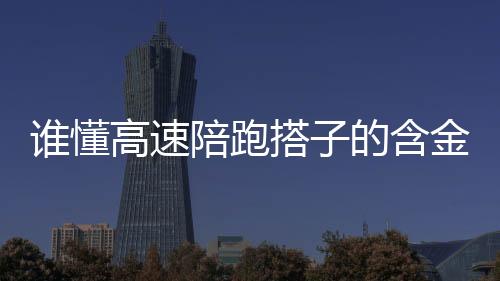 誰懂高速陪跑搭子的含金量