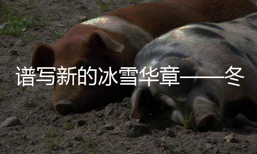 譜寫新的冰雪華章——冬季運動中的精彩篇章