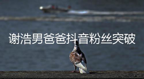 謝浩男爸爸抖音粉絲突破百萬大關(guān)，一位網(wǎng)紅爸爸的奮斗與影響