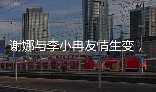 謝娜與李小冉友情生變，探究鬧掰背后的原因