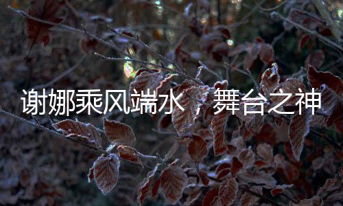 謝娜乘風端水，舞臺之神的光彩