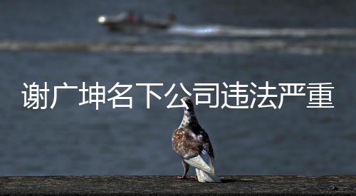 謝廣坤名下公司違法嚴(yán)重，涉嫌違規(guī)行為引關(guān)注